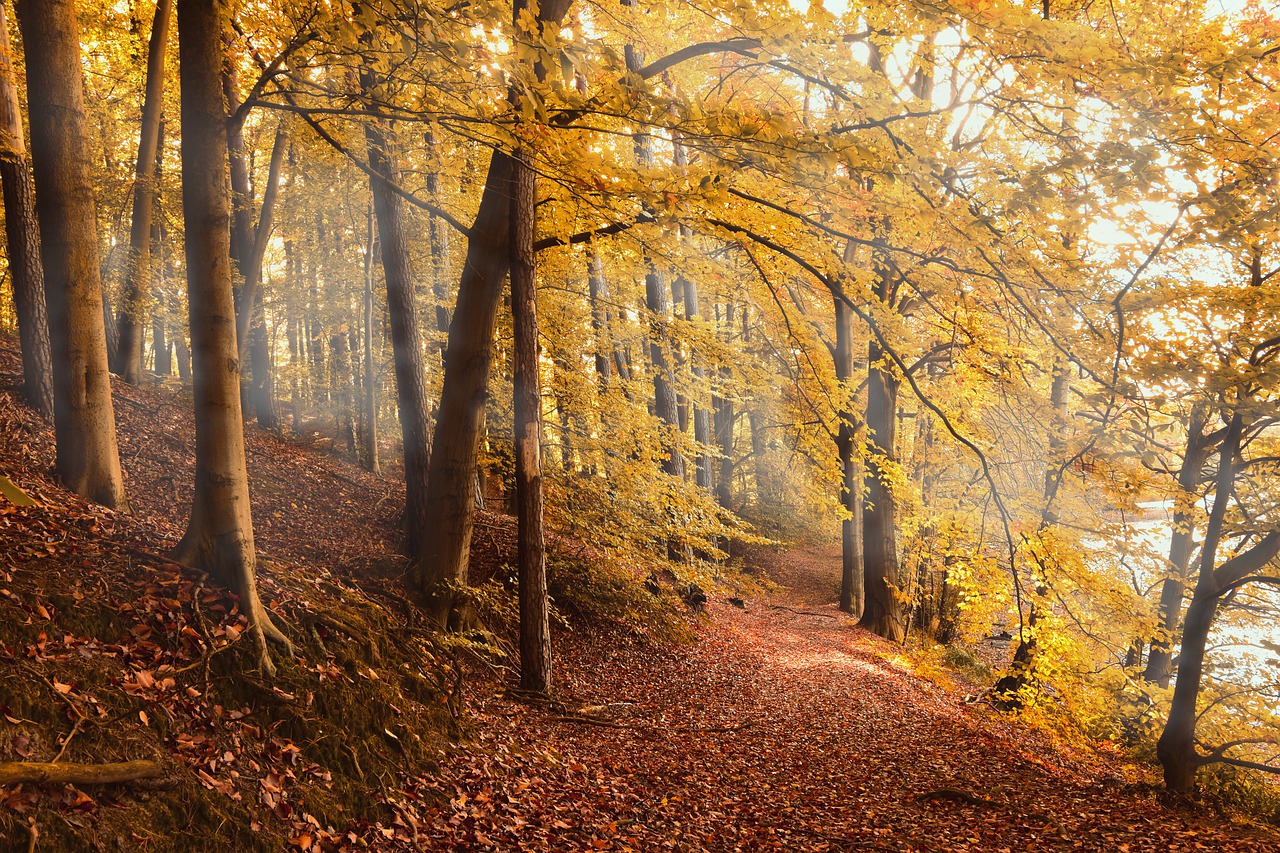 Trekking in Valle Grana